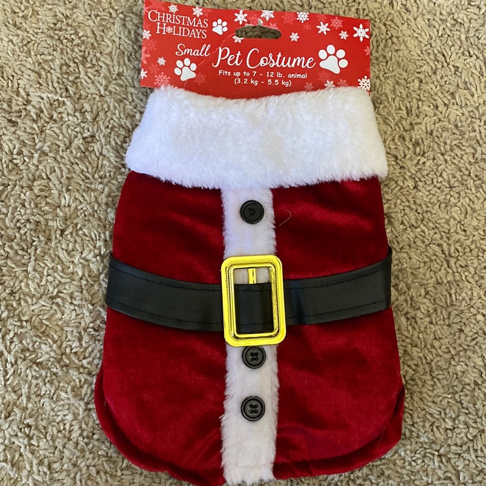 Small Santa pet costume